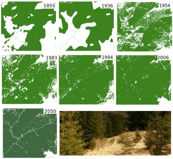 Ricostruzione della copertura forestale del passato e scenari futuri per il 2050 realizzati utilizzando i risultati dei rilievi di campo nel Parco di Paneveggio Pale di San Martino.