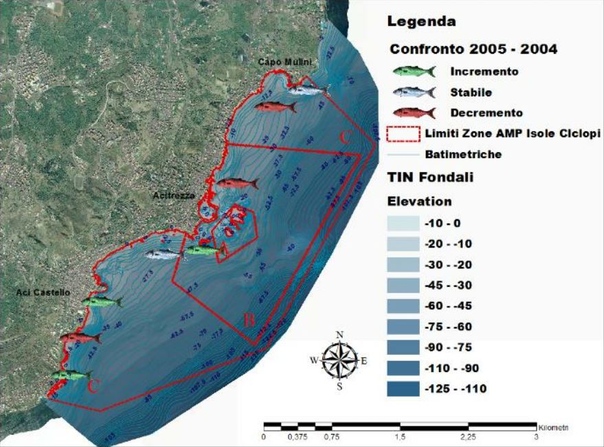 Carta tematica relativa alla variazione di biomassa nel confronto tra rilevamenti eseguiti in due anni diversi nell'Area Marina Protetta “Isole Ciclopi”.