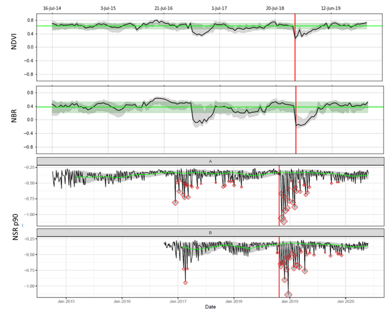 Optical and SAR timeline